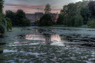 Buckingham Palace view
